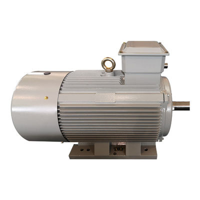 Motor de C.A. trifásico ISO9001 da tensão de Ring Induction Motor Asynchronous Low do deslizamento