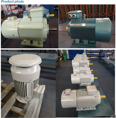 Motor elétrico industrial de motor de indução da gaiola de esquilo da C.A. de 3 fases assíncrono